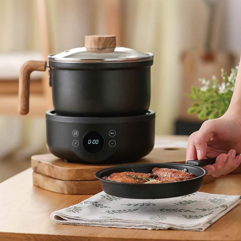 110V/220V Multi-function Elect - Camping Cooking Rice review and price