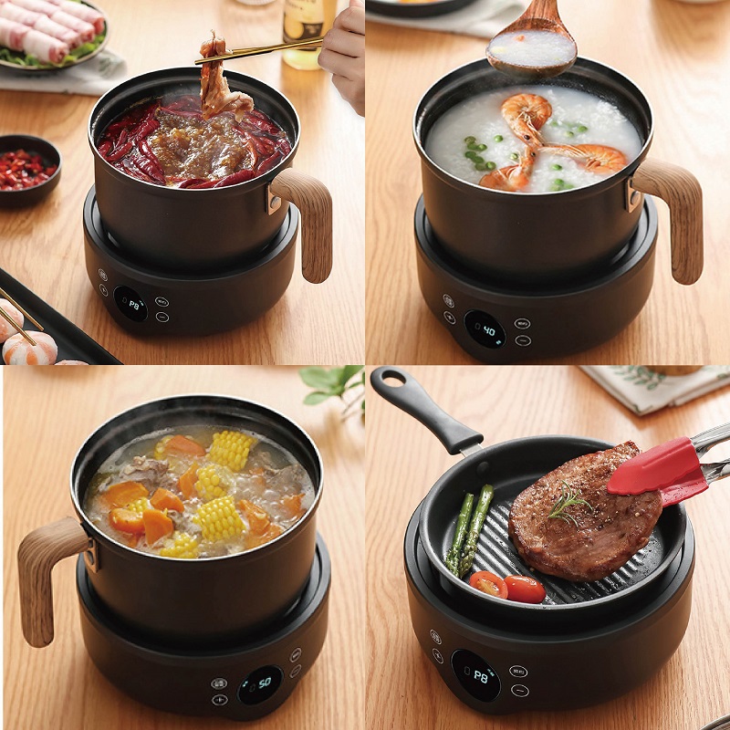 110V/220V Multi-function Elect - Camping Cooking Rice review and price