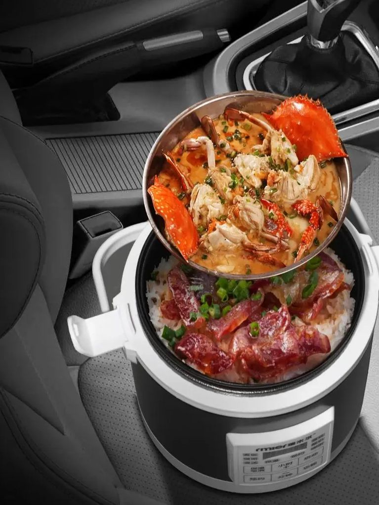 ARIER 12-24V 220V Rice Cooker  - Camping Cooking Rice review and price