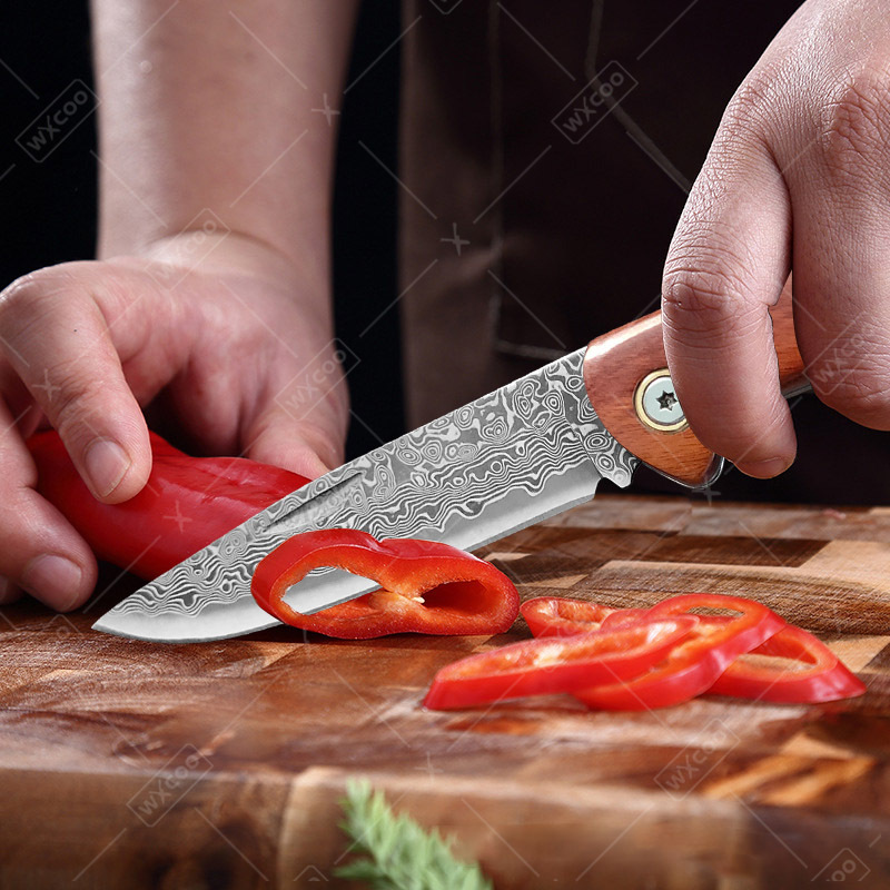 WXCOO Folding Knife Pocket Kni - Camping Cooking Knife review and price